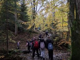 56576527712823987903547336591704574516048990n